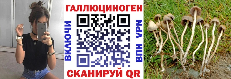 Псилоцибиновые грибы MAGIC MUSHROOMS  наркота  Агидель 